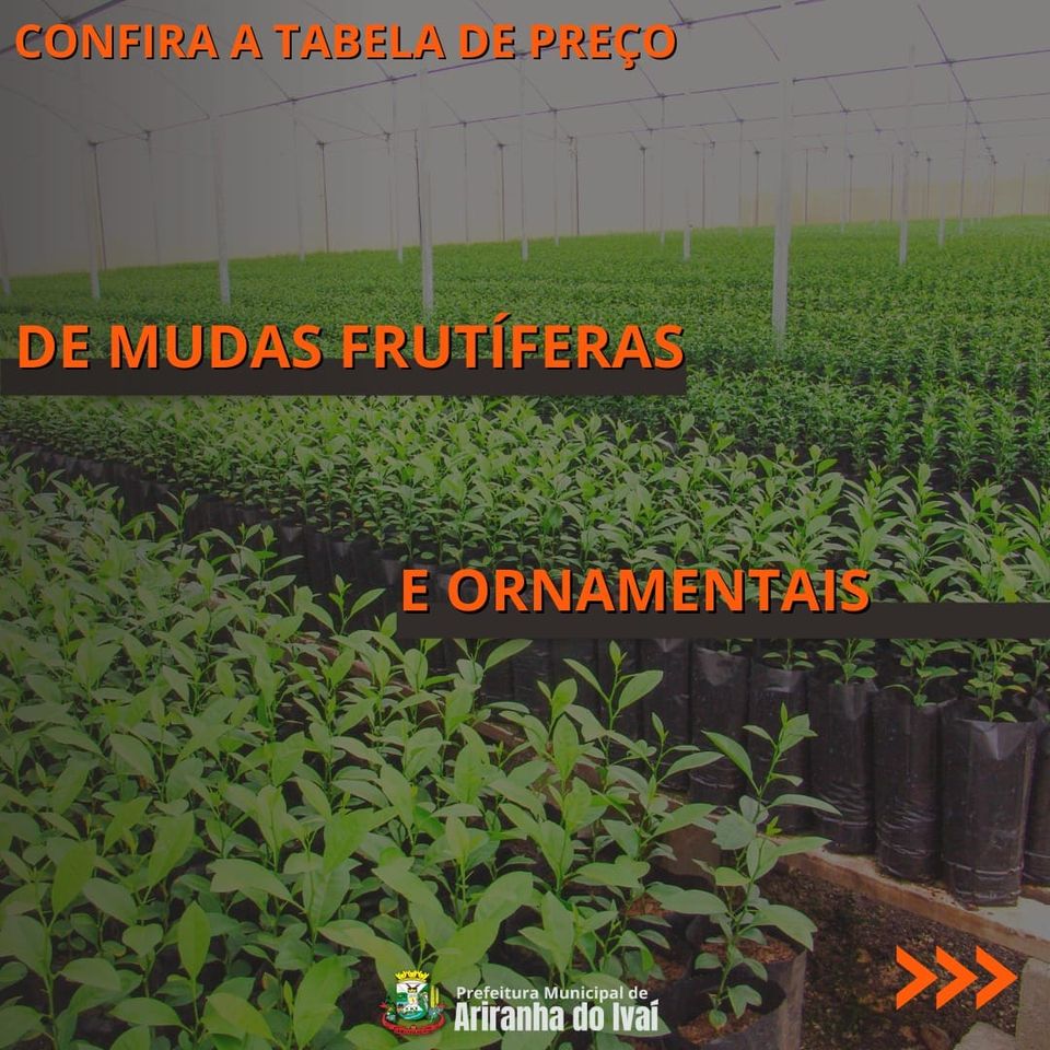 Prefeitura e Cooperativa oferecem mudas frutíferas e ornamentais aos produtores rurais!
